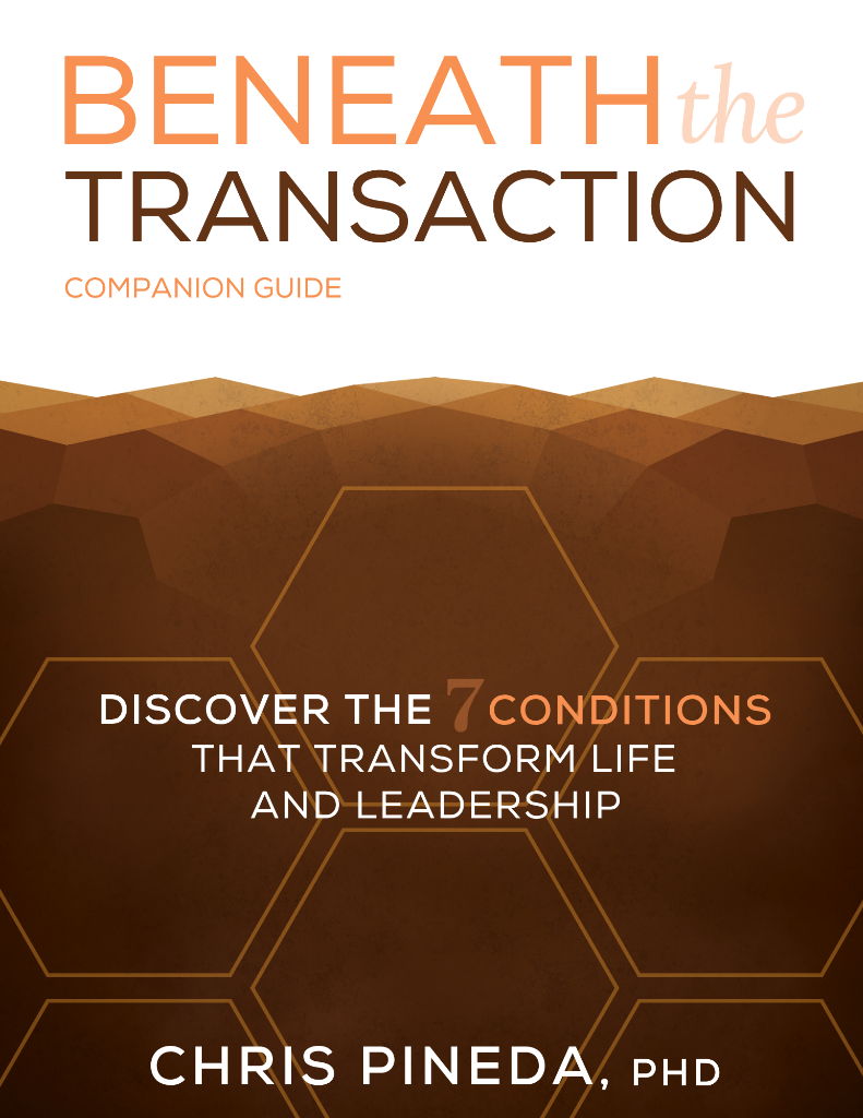 Beneath the Transaction Book